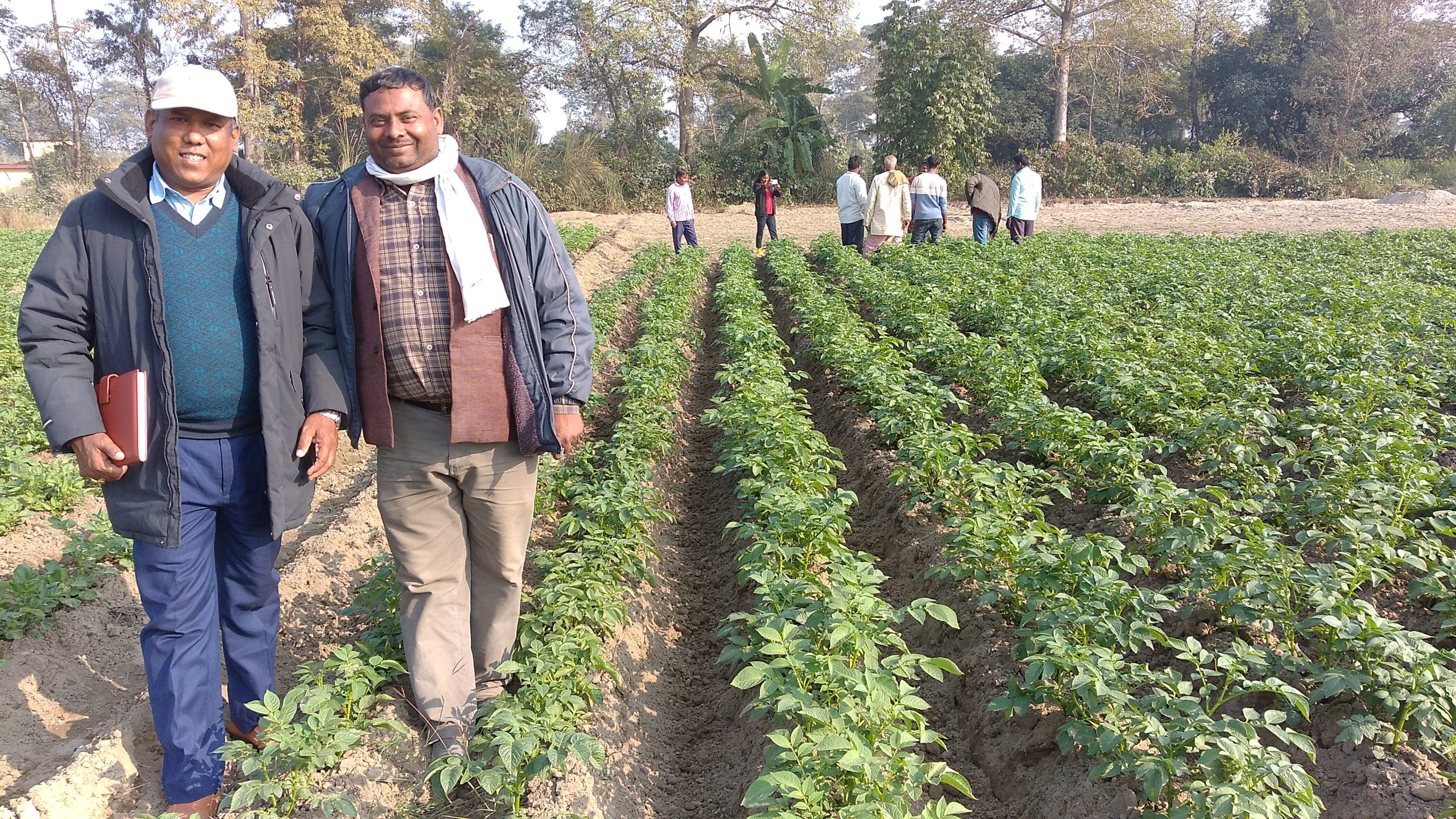 सरकारबाट अनुदान भन्दा कृषि उपजको बजार ब्यवस्थापन गर्न किसानको माग