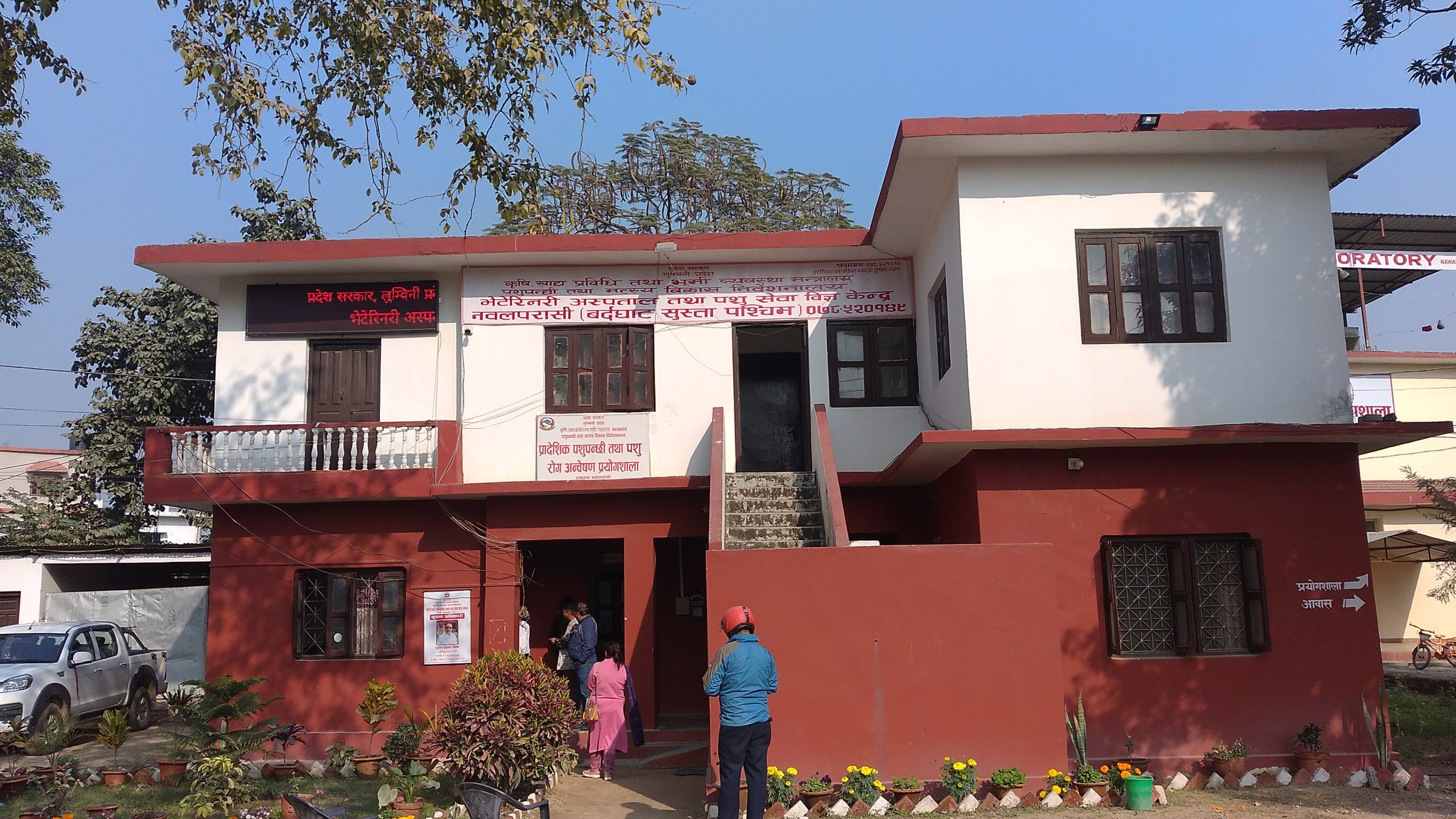 खोरेत रोग उन्मुलनका लागि अभियान सञ्चालन गर्दै भेटेनरी अस्पताल तथा पशु सेवा विज्ञ कार्यालय