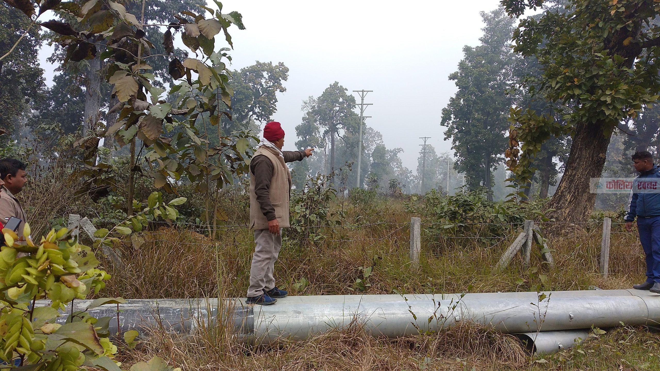 भोगाधिकार बिना नै बुद्धशान्ति साझेदारी बनमा विद्युतको संरचना