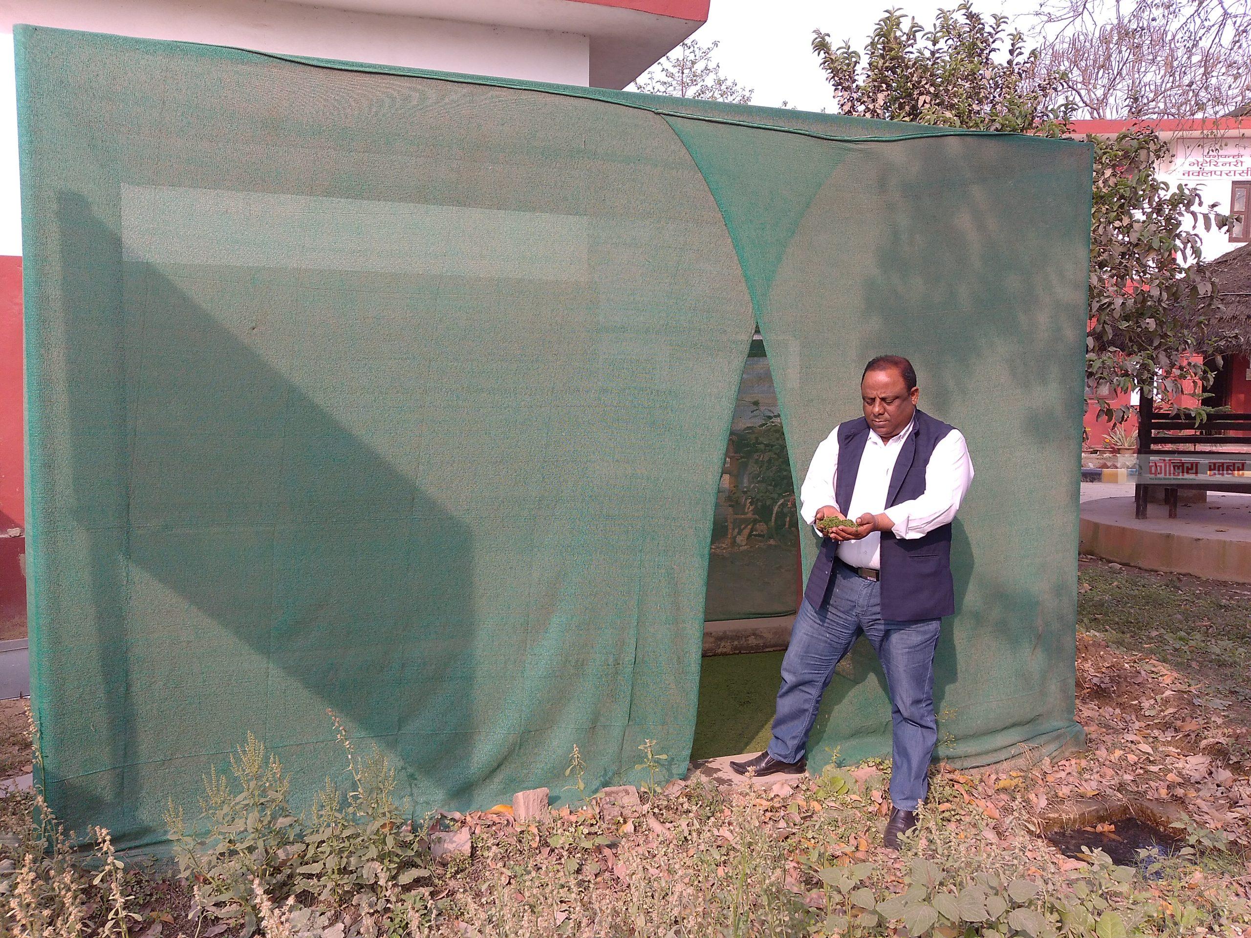 भेटेनरी अस्पताल तथा पशु सेवाविज्ञ कार्यालयमा एजोलाको प्रदर्शनी