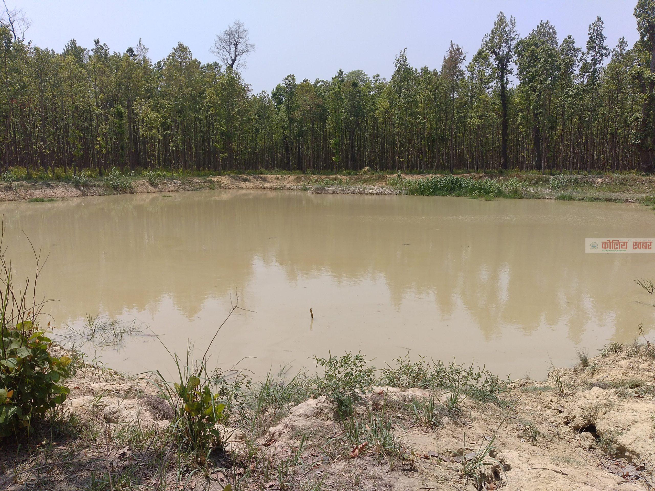 बुद्धशान्ति साझेदारी बनक्षेत्र भित्र बन्यजन्तुलाई पानी पिउन पोखरी र जलासय बनाईदै