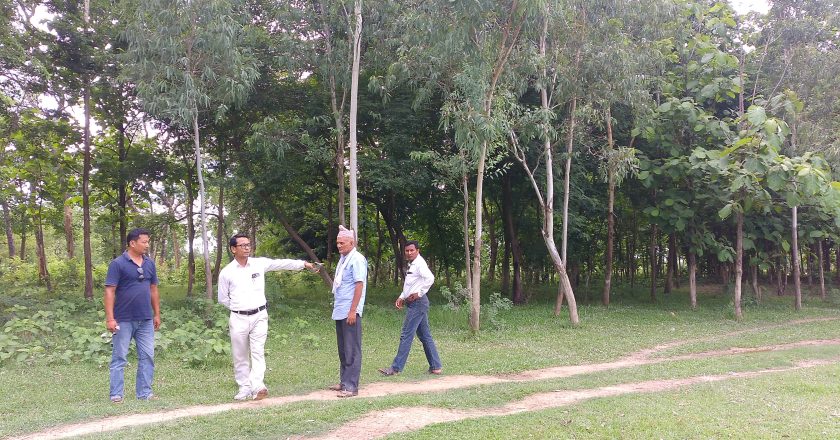 थारु साँस्कृतिक पार्कको सम्भाब्यता अध्ययन गराउदै सरावल सरकार