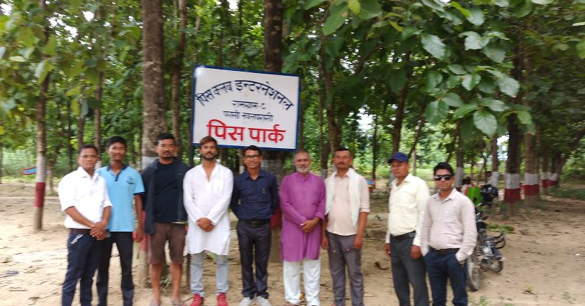 परासी स्थित पिस पार्कका बढदै अवलोकनकर्ता