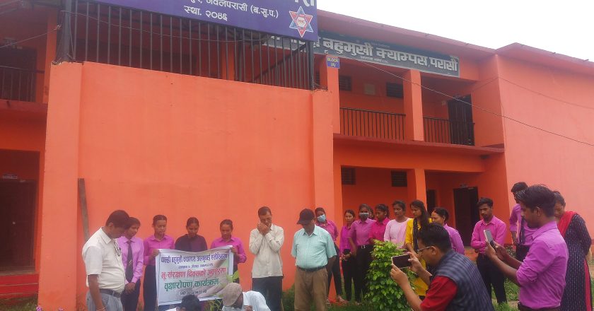 भु संरक्षण दिवसको अवसरमा पाल्ही क्याम्पस भुपु विद्यार्थीको संगठन अल्मुनाई एसोसिएसनद्धारा वृक्षारोपण