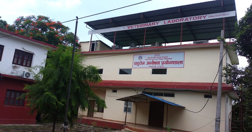 निर्माण भएको दुई बर्ष वितिसक्दा सञ्चालनमा आएन लुम्बिनी प्रादेशिक पशुरोग अन्वेषण प्रयोगशाला