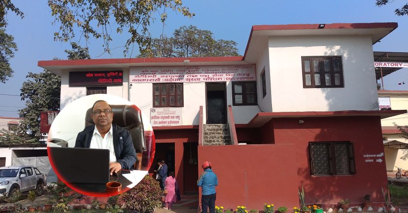 लम्पी स्किन महामारीबाट धेरै पशु जोगाउन पशु सेवा विज्ञ केन्द्र नवलपरासी सफल