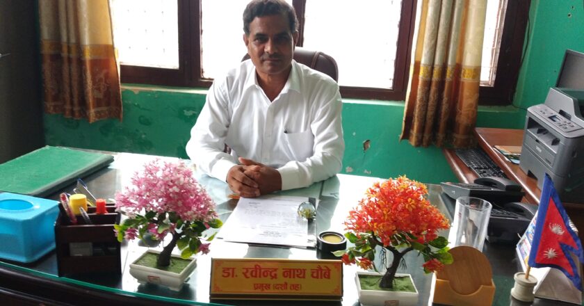 आलु खेती प्रति किसान आकर्षित देखिएनन