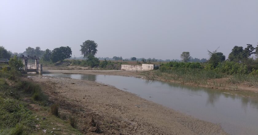 सिचाई आयोजनामा जम्मा भएको सिल्ट सफाई नहुदा आयोजना प्रभावित