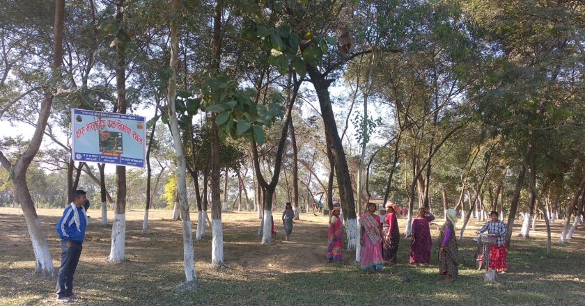 थारु साँस्कृतिक पार्कको स्वरुप दिन अग्रसर मनरीकी थारु महिलाहरु