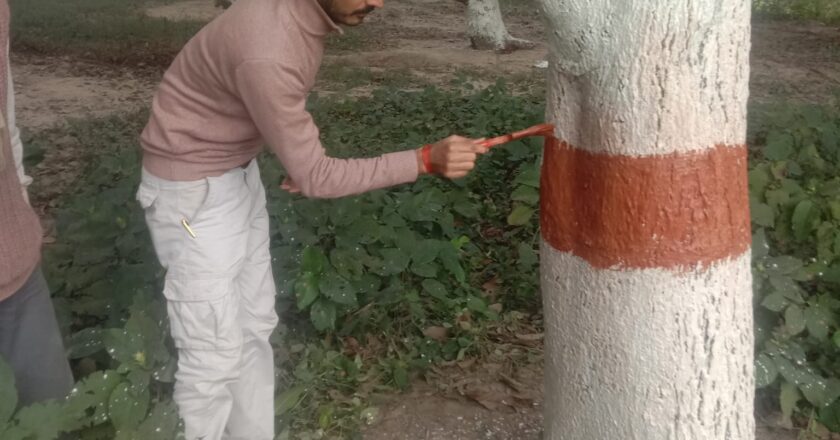 बौद्धकालिन प्राचिन नन्दन नगर क्षेत्रको सरसफाईमा सक्रिय स्थानिय