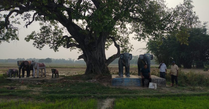 रामग्राम १६ सितापुर कोटहीमाई स्थानमा पुरातात्विक खोज