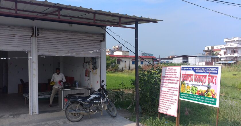 कृषकका केरा बजारीकरण गर्न परासीमा फलफूल केन्द्र सञ्चालन