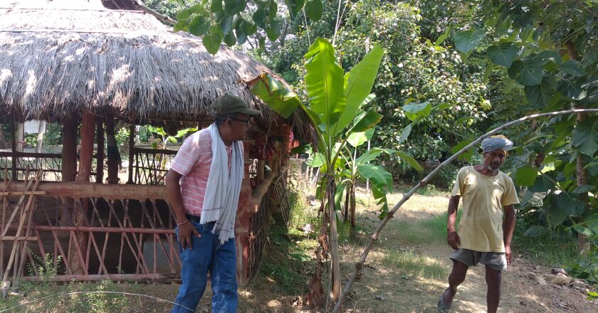 प्रतापपुरको बाउन्नगढी प्राचिन बौद्धकालिन भएको पुरातात्विक खोज