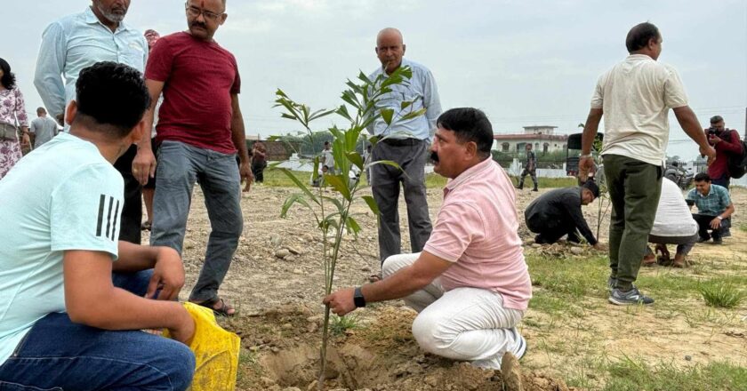 विश्व शान्ति दिवसको अवसरमा जिसस परिसर भित्र वृक्षारोपण