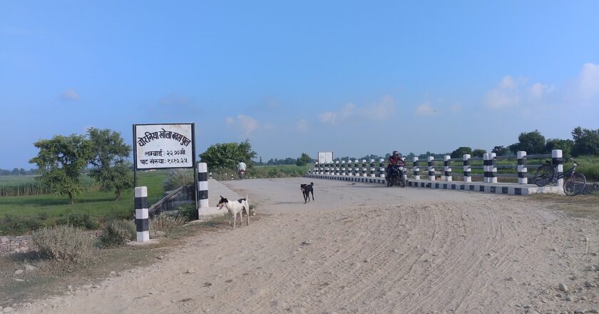 प्रतापपुर र सुस्ता जोड्ने नर्सहीको चोर्निया खोलामा पुल बनेपछि स्थानियलाई राहत