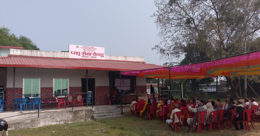 सुनवल २ स्थित पशु सेवा केन्द्रबाट पशु उपचार सेवा शुभारम्भ