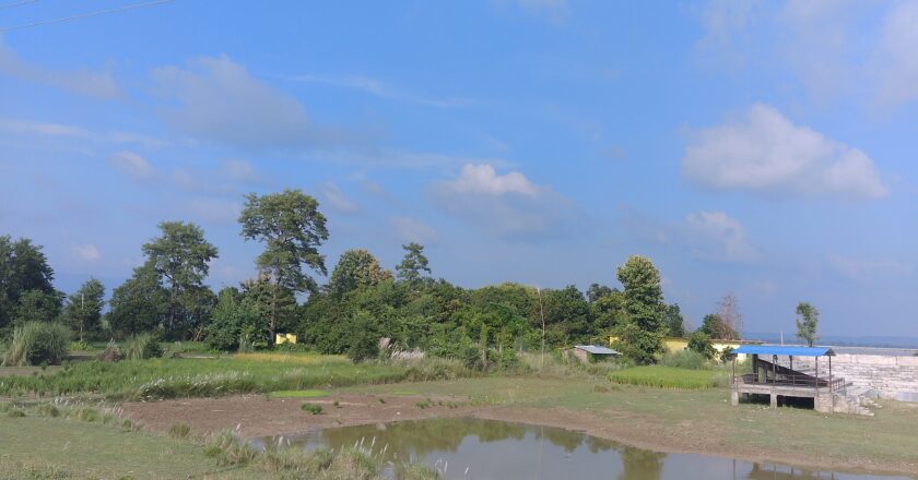 नेपालको बोधगया भनि चिनाउने गरिएको सुस्ताको अनोमाघाट(ठाढीघाट) विकासमा बनमन्त्री कलवारको चाँसो