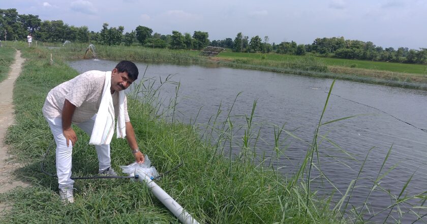नेपालमा माछा तस्करी नियन्त्रण र कृषकलाई प्रोत्साहन गर्न सकेमा माछा मै छ अवसर