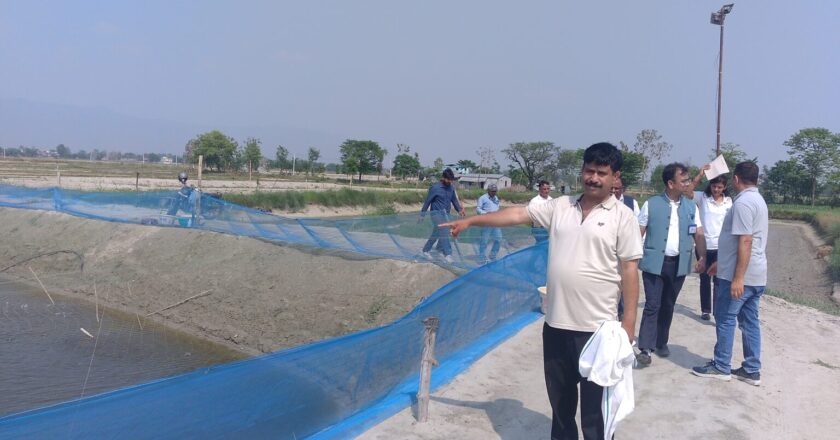 सिमामा सल्बलाउदै माछा तस्कर, नेपाली माछा कृषक चिन्तित