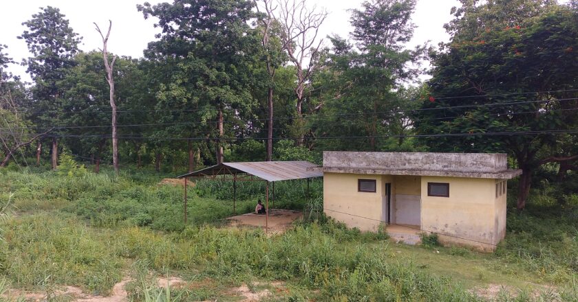 पर्यटक लक्षित सार्वजनिक सौचालय बनेको दशक वित्यो सञ्चालनमा आएन