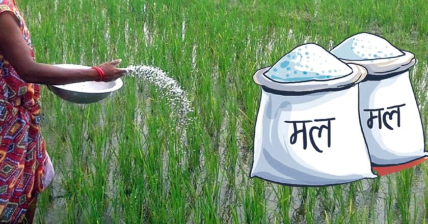 पानी परेर जिल्लाका किसानले खडेरीबाट राहत पाए,तर सरकारबाट युरिया मल पाएनन