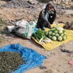 थारुको परिकारको रुपमा चिनिने घोँघी अहिले खुल्ला बजारमा