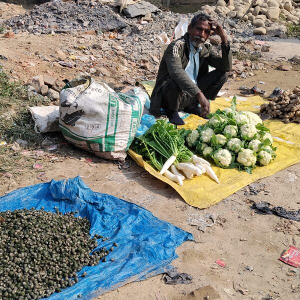 थारुको परिकारको रुपमा चिनिने घोँघी अहिले खुल्ला बजारमा