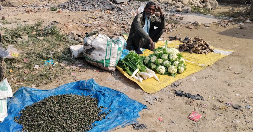 थारुको परिकारको रुपमा चिनिने घोँघी अहिले खुल्ला बजारमा