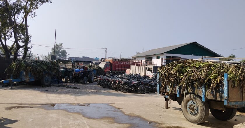 स्थानिय केरा कृषकको दवावमा प्रहरीद्धारा भारतिय केरा बरामद