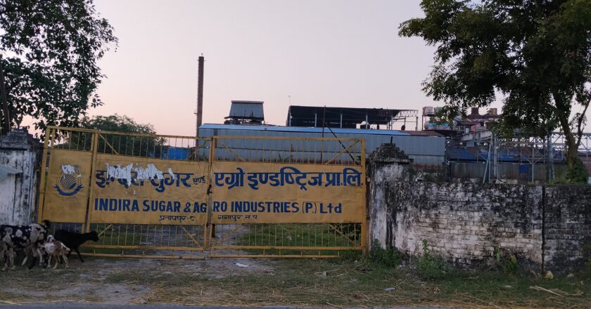 उखु क्रसिगँको बेला इन्दिरा सुगर मिलका सञ्चालक सम्पर्क विहिन ः उखु किसानलाई समस्यै समस्या