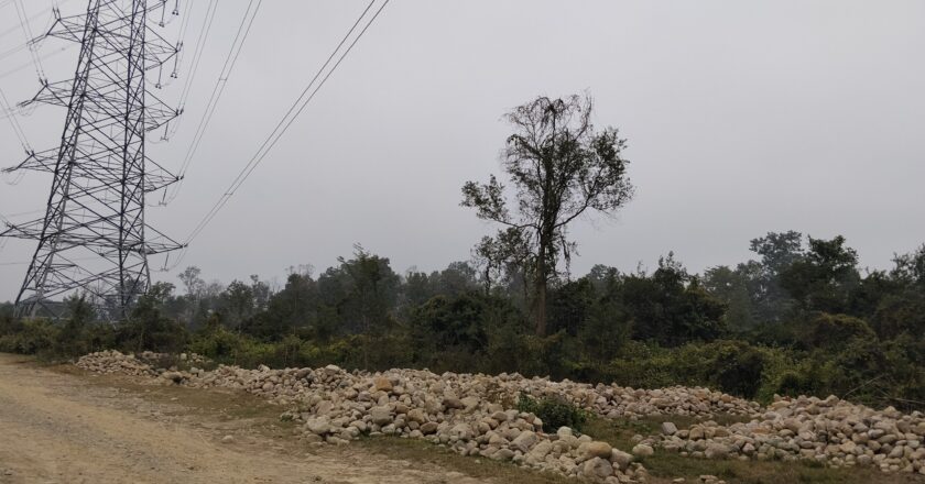 खोला निकासीमा बन र पालिकाको विवादले तस्करलाई मालामाल