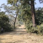 बनमा अतिक्रमण नरोकिदा पर्यावरणिय असर बढदै