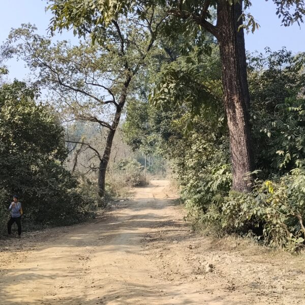 बनमा अतिक्रमण नरोकिदा पर्यावरणिय असर बढदै