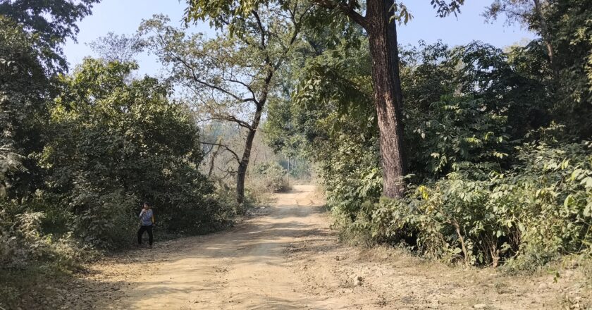 बनमा अतिक्रमण नरोकिदा पर्यावरणिय असर बढदै