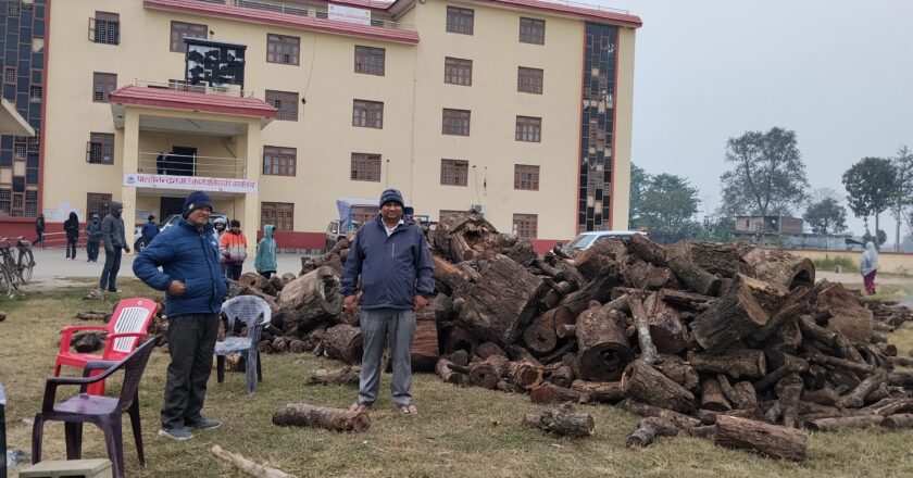 पाल्हीनन्दन गाउपालिकाले जाडो झल्न दाउरा र कम्बल वितरण कार्य गर्दै