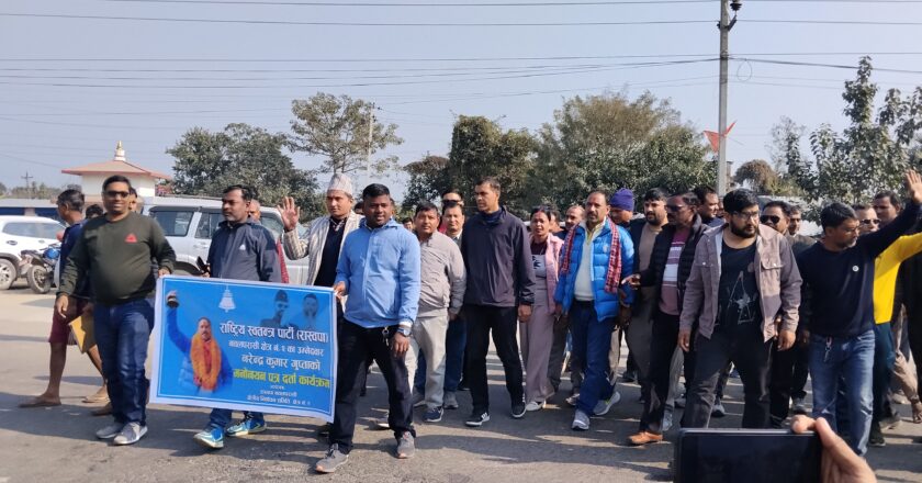 नवलपरासी क्षेत्र २ बाट १२ स्वतन्त्र सहित ३० जनाको उमेदवारी (काँग्रेसबाट दुई जना उमेदवार)