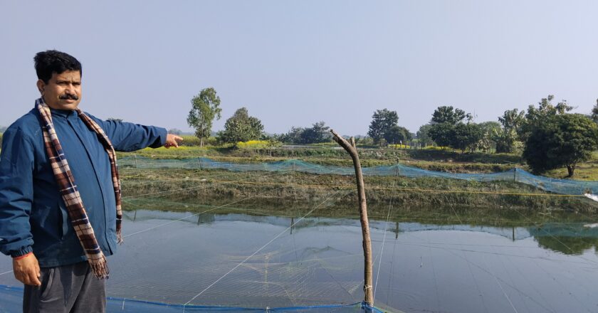 गर्मिबाट पँगास माछा आफ्नै प्रविधि तयार गरि जोगाउन सके पनि जाडोमा बचाउन चुनौती