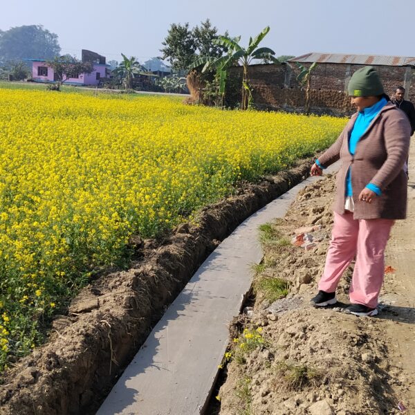 सुनवलका महिलाहरुको अग्रसरतामा सिचाई नहर निर्माण हुदै