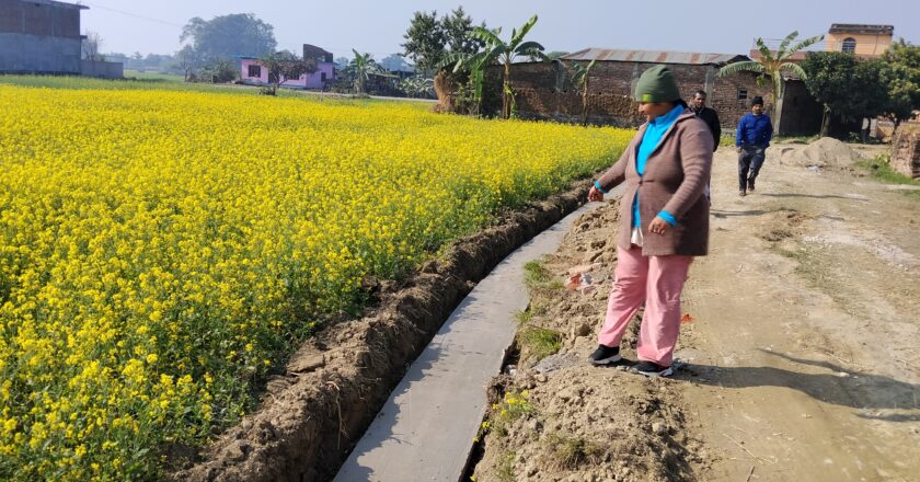 सुनवलका महिलाहरुको अग्रसरतामा सिचाई नहर निर्माण हुदै