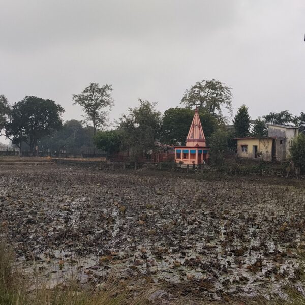 बजेट अभावले पोखरापालीको जौरहरीमाई पार्क निर्माण कार्य अलपत्र