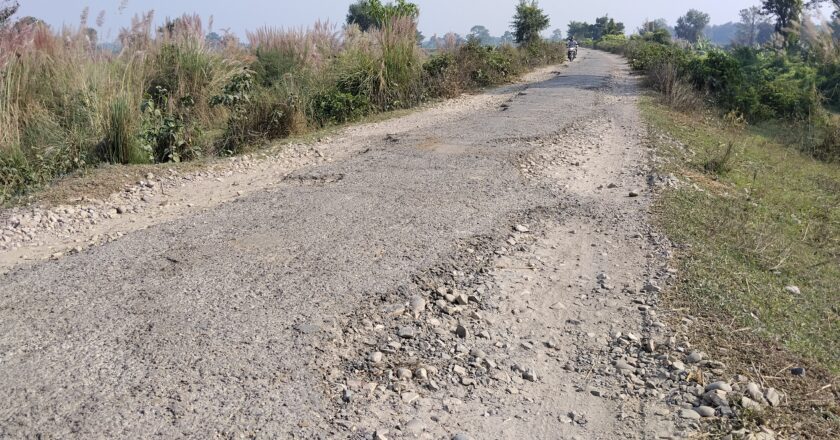 गण्डक बाँध अन्तरगत सि ग्याप बाँधको सेवा सडकको मर्मत सम्भार नहुदा स्थानियलाई सास्ती