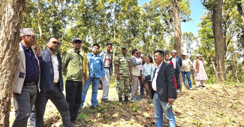 नवलपरासीको बन क्षेत्र भित्रै एक लाख श्रमदिनको रोजगारी