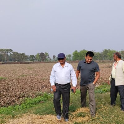 संरक्षण अभावमा सेनकालिन प्राचीन पाल्ही पोखरी जलकुम्भिले भरिदै