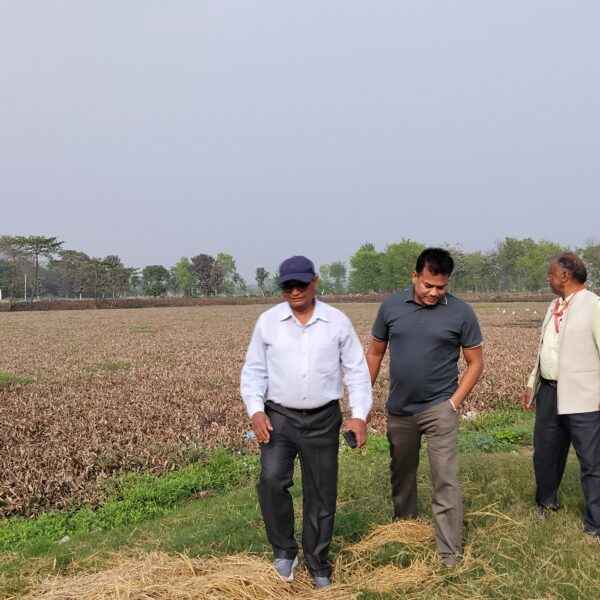 संरक्षण अभावमा सेनकालिन प्राचीन पाल्ही पोखरी जलकुम्भिले भरिदै