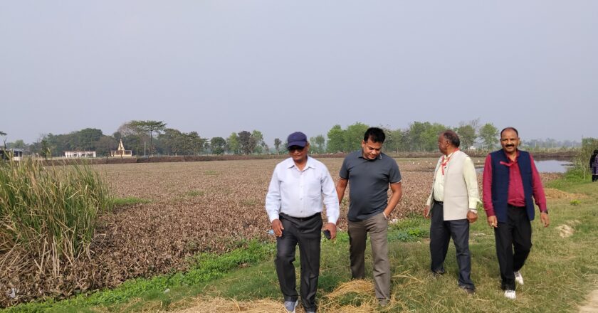 संरक्षण अभावमा सेनकालिन प्राचीन पाल्ही पोखरी जलकुम्भिले भरिदै