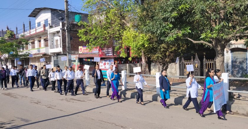 विद्युतीय सुरक्षा दिवस मनाइयो