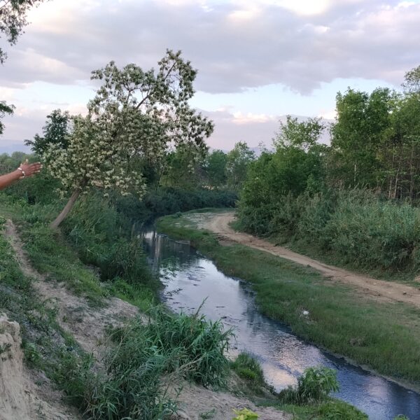 रास्वपा नेताद्धारा रामग्राम स्तुप र संघाराम जोड्ने भलुहीखोला पुल स्थानको अवलोकन