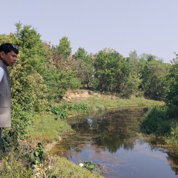 झरही पिडुरा दोभानको गोही आरक्ष क्षेत्रमा अवलोकनकर्ता बढदै