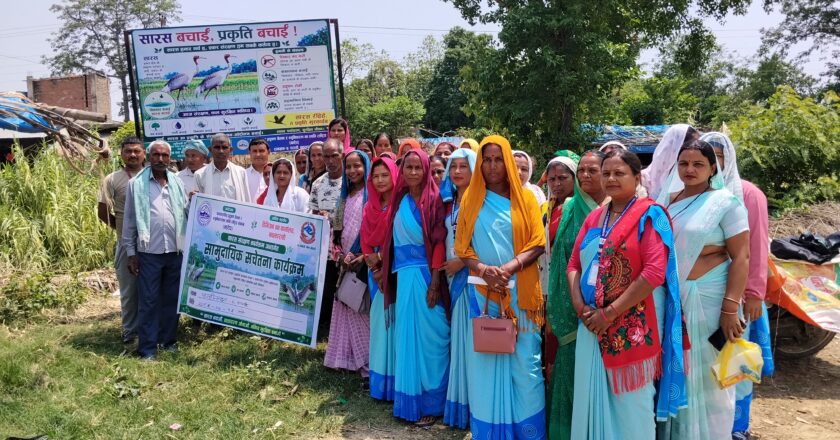 नवलपरासीमा सारस संरक्षण अभियान शुरु
