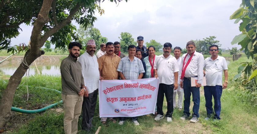 नेपाल कै पहिलो पंगास(बैखी)माछाका भुरा निकाल्ने ह्याचरीको अनुगमन